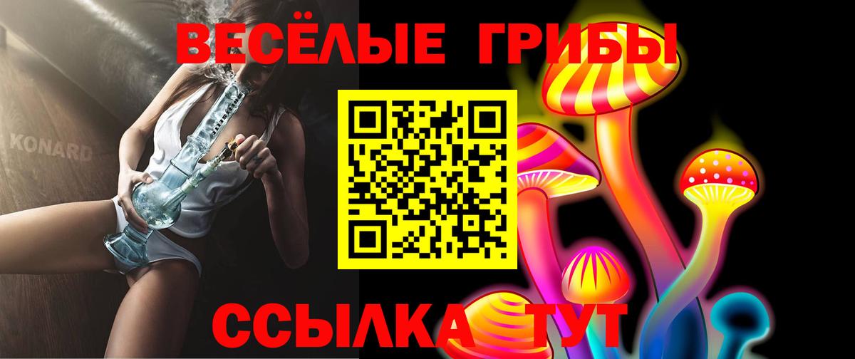 Нижний Новгород  купить  сайты  Вход с VPN  Псилоцибиновые грибы Psilocybe 